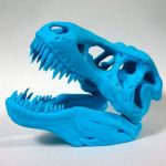 T-Rex-Skullティラノザウルスの頭蓋骨